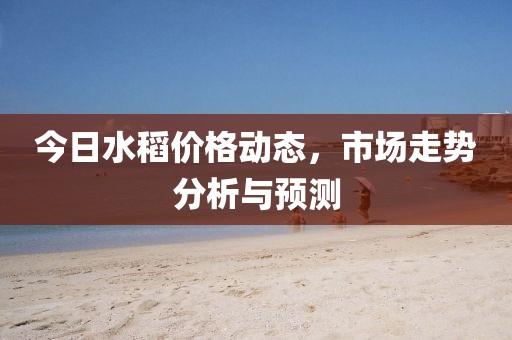 今日水稻价格动态，市场走势分析与预测