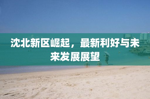沈北新区崛起，最新利好与未来发展展望