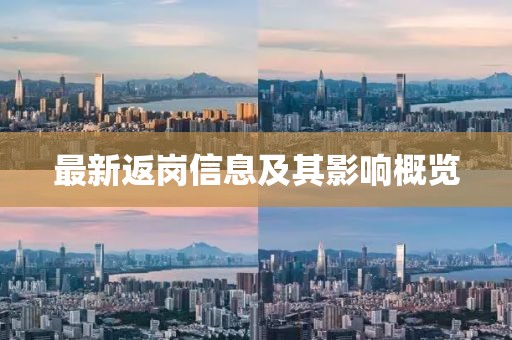最新返岗信息及其影响概览