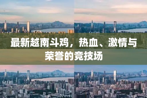 最新越南斗鸡，热血、激情与荣誉的竞技场