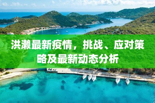 洪濑最新疫情，挑战、应对策略及最新动态分析