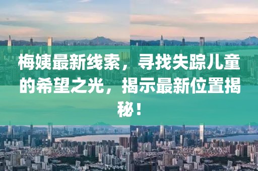 梅姨最新线索，寻找失踪儿童的希望之光，揭示最新位置揭秘！