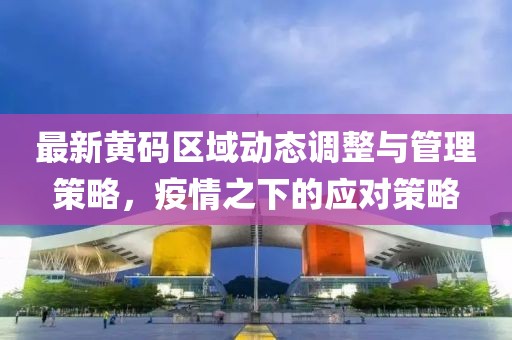 最新黄码区域动态调整与管理策略，疫情之下的应对策略
