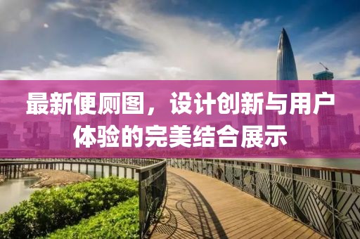 最新便厕图，设计创新与用户体验的完美结合展示
