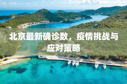 北京最新确诊数，疫情挑战与应对策略