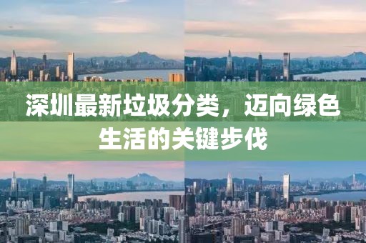 深圳最新垃圾分类，迈向绿色生活的关键步伐
