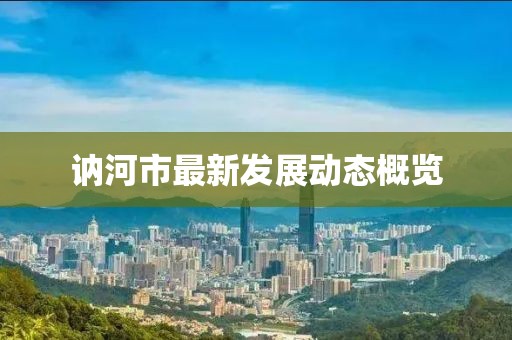 讷河市最新发展动态概览