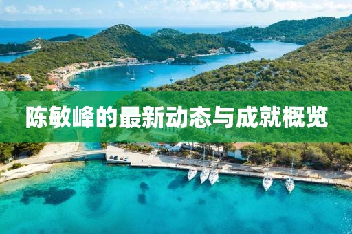 陈敏峰的最新动态与成就概览