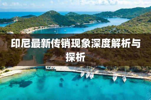 印尼最新传销现象深度解析与探析