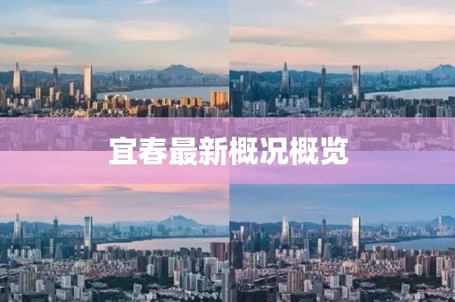 宜春最新概况概览