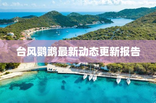 台风鹦鹉最新动态更新报告