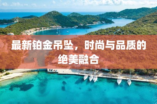 最新铂金吊坠，时尚与品质的绝美融合