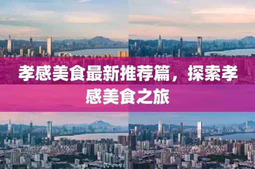 孝感美食最新推荐篇，探索孝感美食之旅