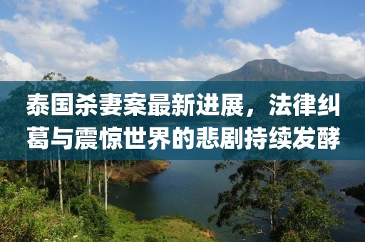 泰国杀妻案最新进展，法律纠葛与震惊世界的悲剧持续发酵