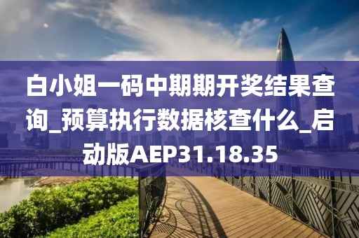 白小姐一码中期期开奖结果查询_预算执行数据核查什么_启动版AEP31.18.35