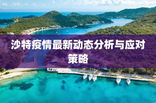 沙特疫情最新动态分析与应对策略
