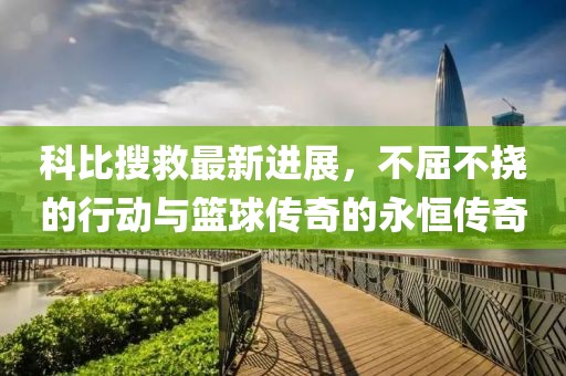 科比搜救最新进展，不屈不挠的行动与篮球传奇的永恒传奇