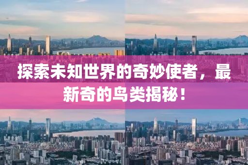 探索未知世界的奇妙使者，最新奇的鸟类揭秘！