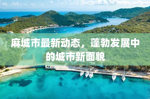 麻城市最新动态，蓬勃发展中的城市新面貌