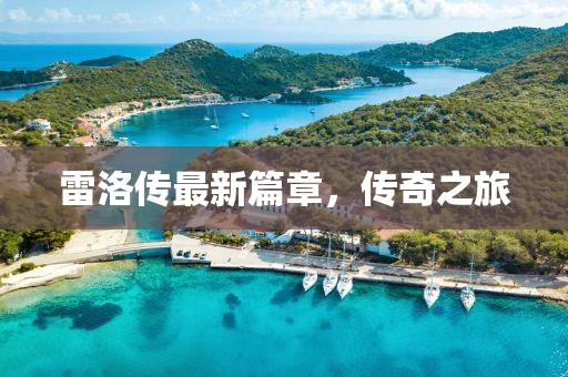雷洛传最新篇章，传奇之旅