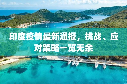 印度疫情最新通报，挑战、应对策略一览无余