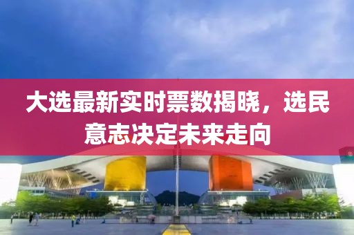 大选最新实时票数揭晓，选民意志决定未来走向
