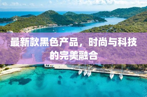 最新款黑色产品，时尚与科技的完美融合