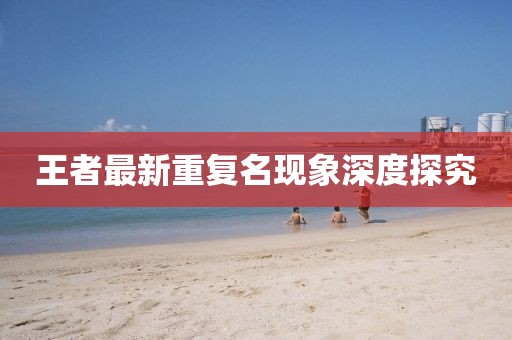 王者最新重复名现象深度探究