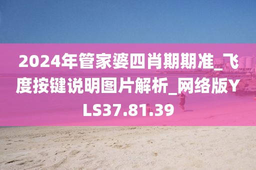2024年管家婆四肖期期准_飞度按键说明图片解析_网络版YLS37.81.39
