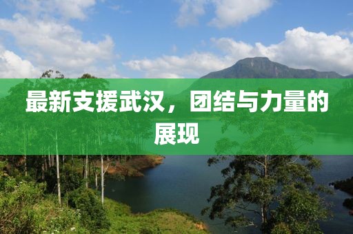 最新支援武汉，团结与力量的展现