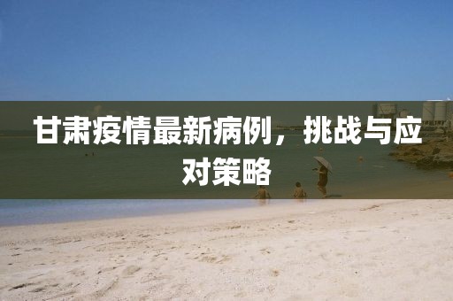 甘肃疫情最新病例，挑战与应对策略