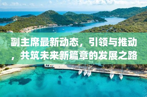 副主席最新动态，引领与推动，共筑未来新篇章的发展之路