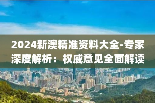 2024新澳精准资料大全-专家深度解析：权威意见全面解读