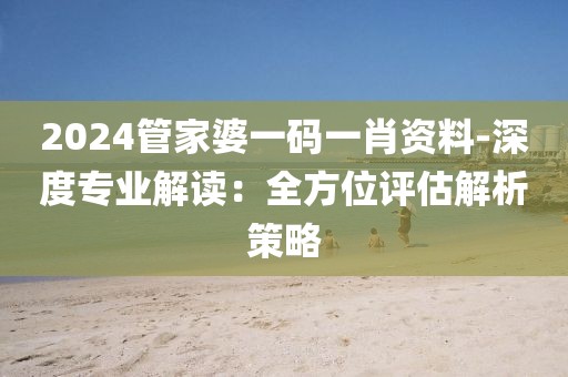 2024管家婆一码一肖资料-深度专业解读：全方位评估解析策略