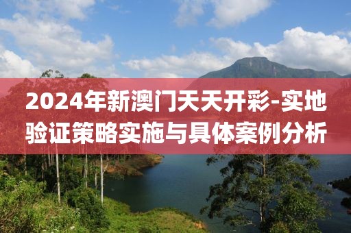 2024年新澳门天天开彩-实地验证策略实施与具体案例分析