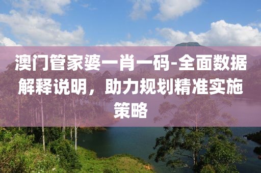 澳门管家婆一肖一码-全面数据解释说明，助力规划精准实施策略