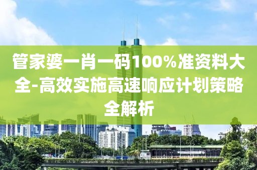 管家婆一肖一码100%准资料大全-高效实施高速响应计划策略全解析