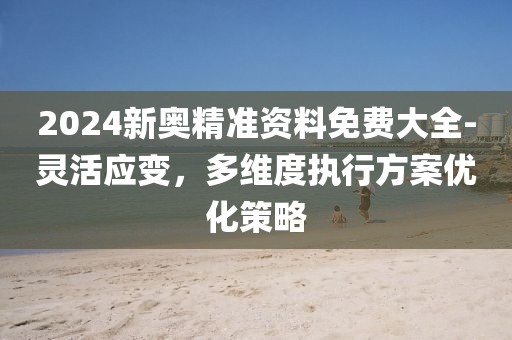 2024新奥精准资料免费大全-灵活应变，多维度执行方案优化策略