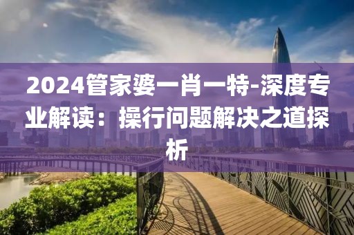 2024管家婆一肖一特-深度专业解读：操行问题解决之道探析
