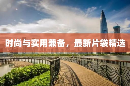 时尚与实用兼备，最新片袋精选