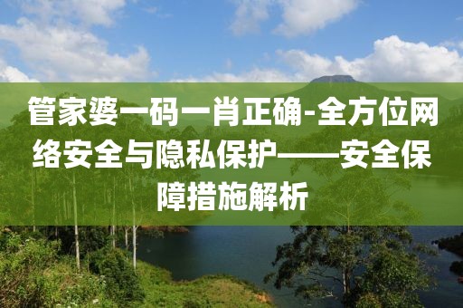 管家婆一码一肖正确-全方位网络安全与隐私保护——安全保障措施解析