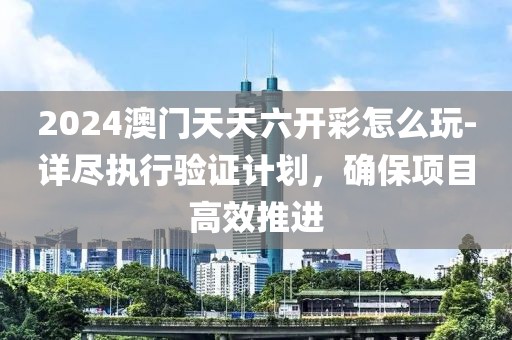 2024澳门天天六开彩怎么玩-详尽执行验证计划，确保项目高效推进