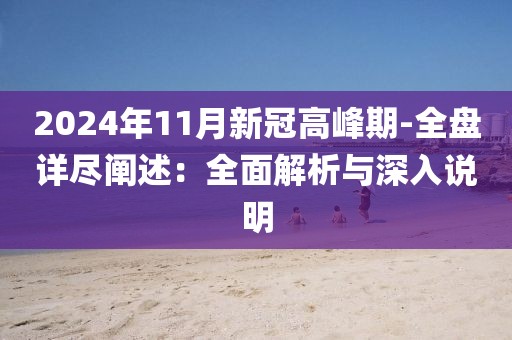 2024年11月新冠高峰期-全盘详尽阐述：全面解析与深入说明