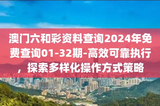澳门六和彩资料查询2024年免费查询01-32期-高效可靠执行，探索多样化操作方式策略