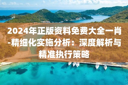 2024年正版资料免费大全一肖-精细化实施分析：深度解析与精准执行策略