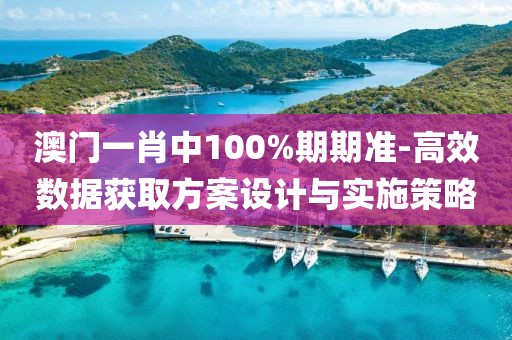 澳门一肖中100%期期准-高效数据获取方案设计与实施策略