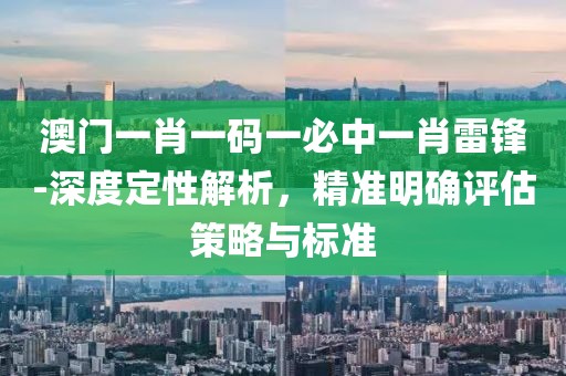 澳门一肖一码一必中一肖雷锋-深度定性解析，精准明确评估策略与标准