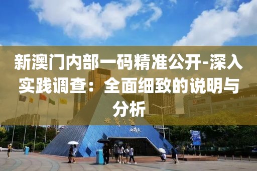 新澳门内部一码精准公开-深入实践调查：全面细致的说明与分析