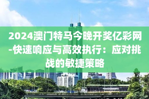 2024澳门特马今晚开奖亿彩网-快速响应与高效执行：应对挑战的敏捷策略