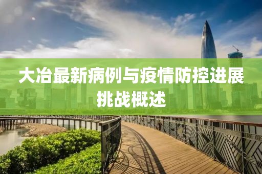 大冶最新病例与疫情防控进展挑战概述